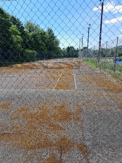 photo des terrains de tennis